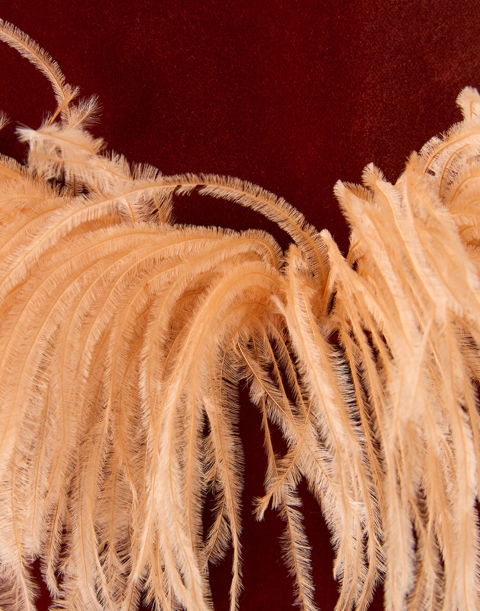 La DoubleJ Keaton Jacket Terracotta JAC0073VEL011SOLIDBR08