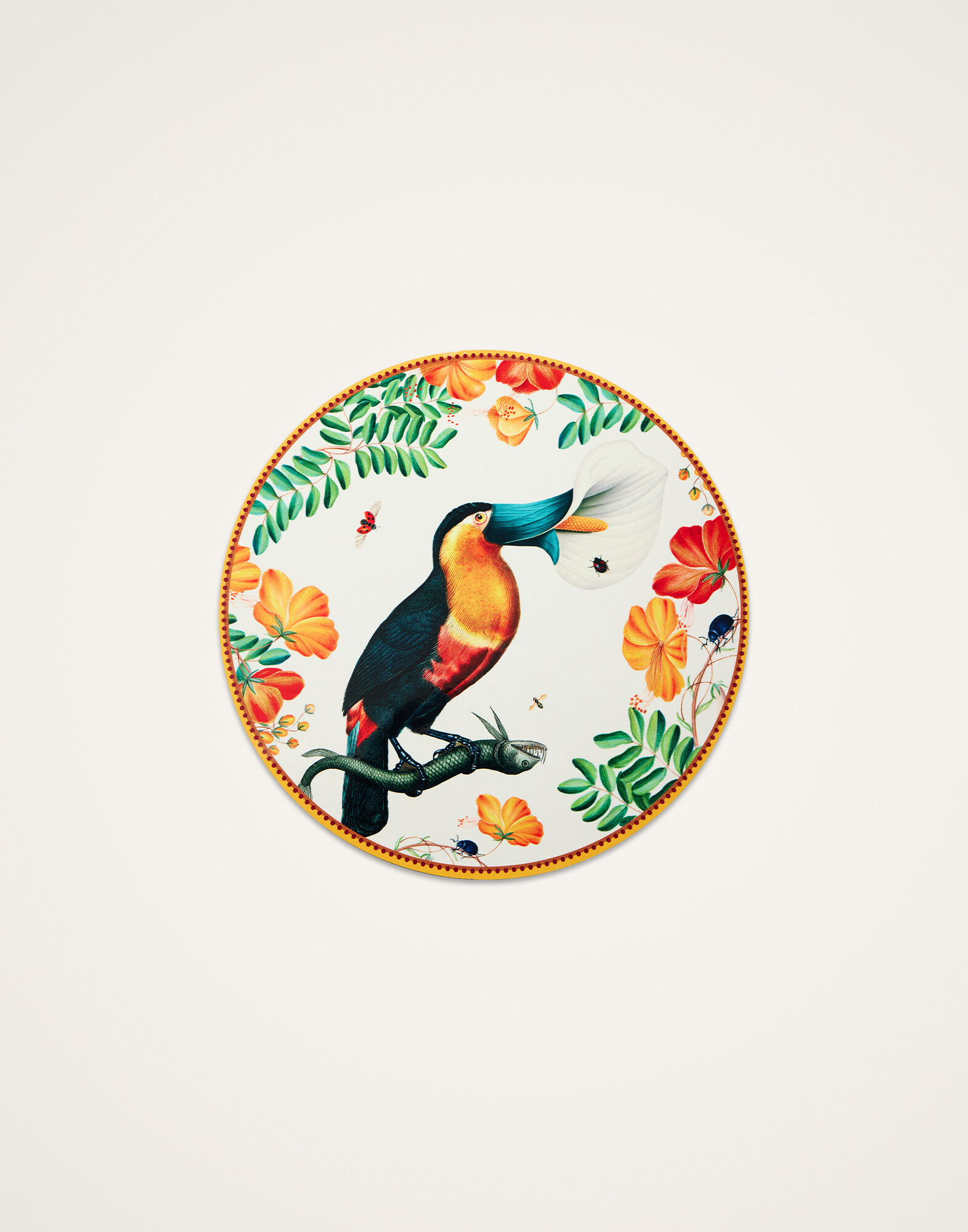 La DoubleJ Disk Placemats Set Of 4 Flying Friends PMT0033CRK001FLF01MU03