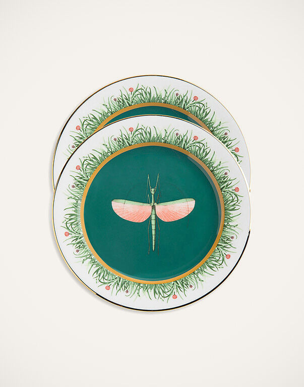 Homeware - Libellula | La DoubleJ