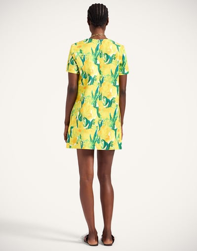 la double j mini dress Wavy Mini Dress in Bicolor Mint & Dark Green for Women