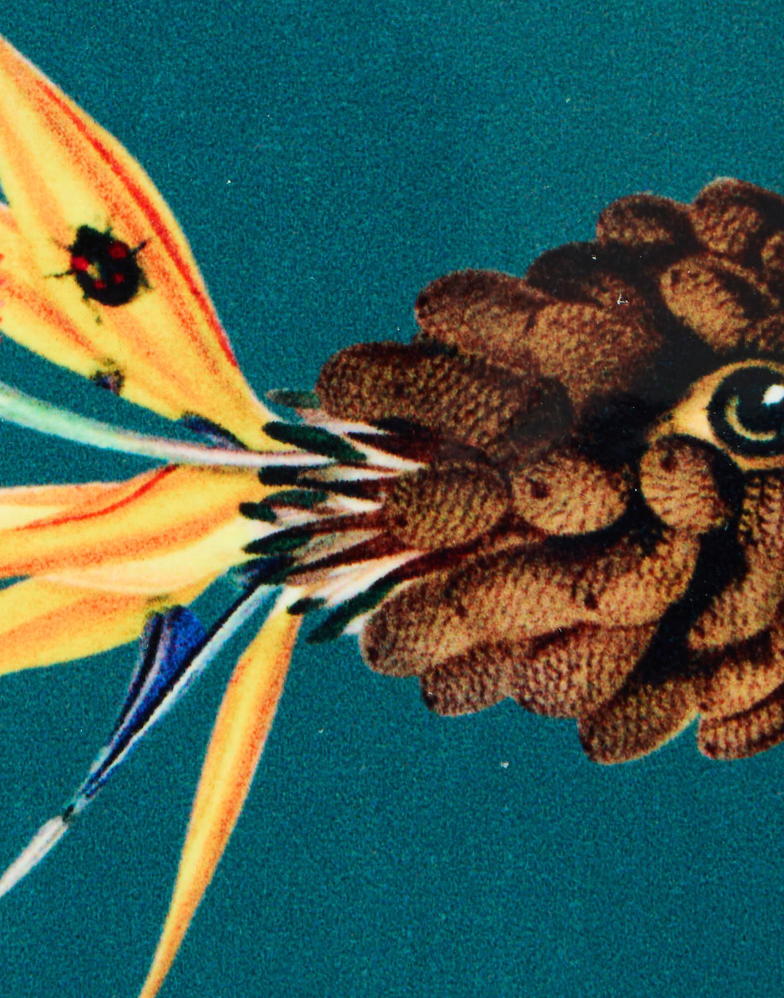 La DoubleJ Disk Coasters Set Of 4 Flying Friends CST0009CRK001FLF01MU03