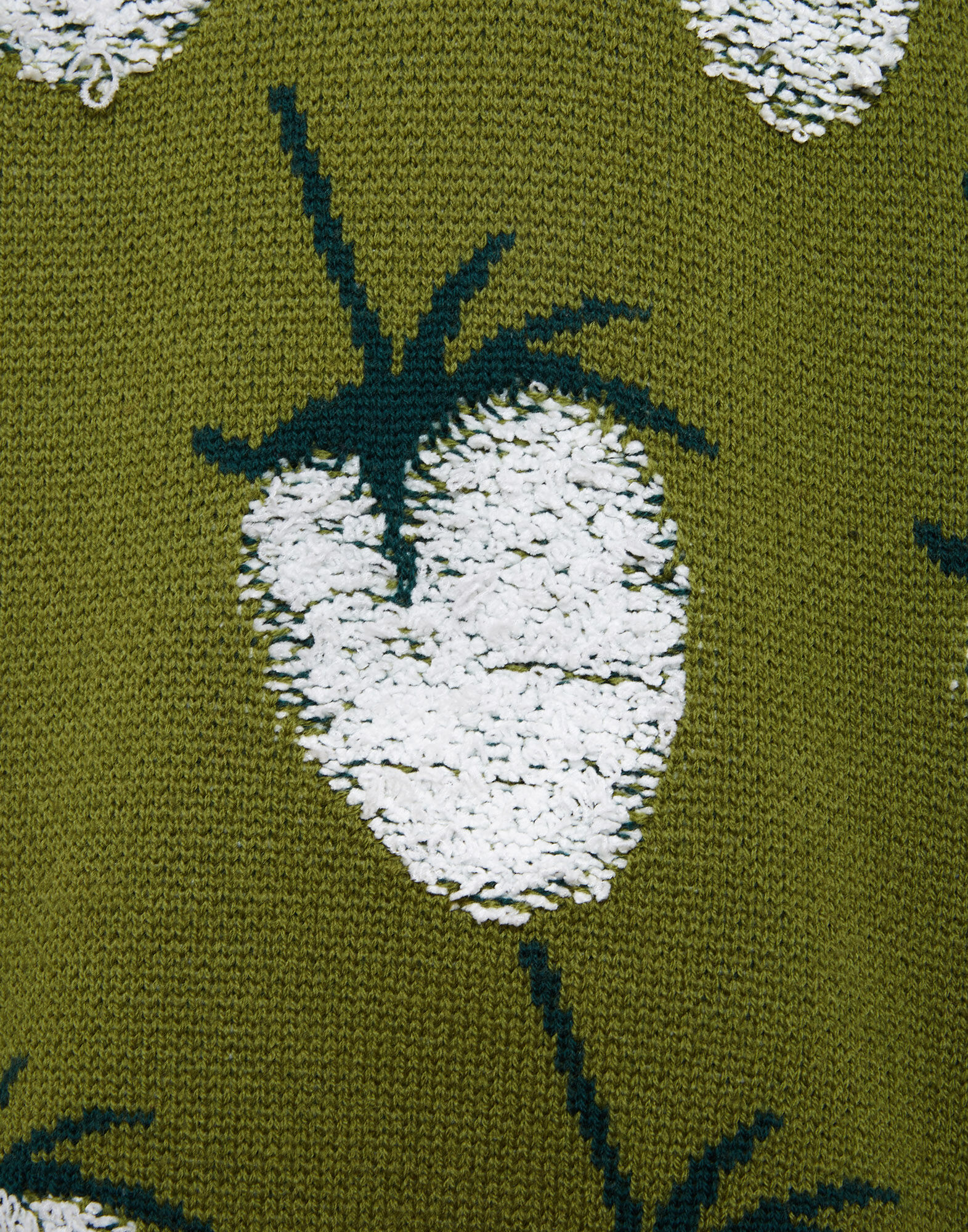 La DoubleJ Lampone Hoodie Green PUL0176KNI099VA214GR02