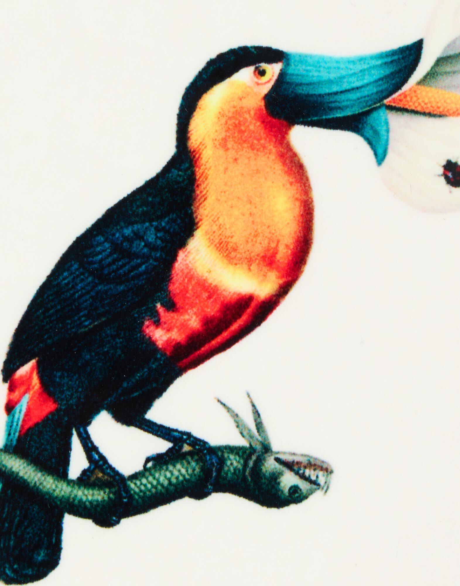 La DoubleJ Disk Coasters Set Of 4 Flying Friends CST0009CRK001FLF01MU03