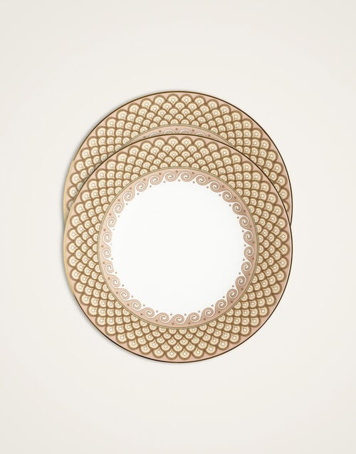 Dinner Plates Set Of 2