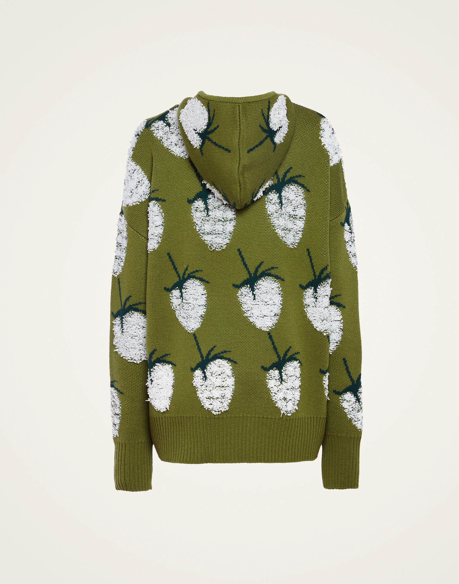 La DoubleJ Lampone Hoodie Green PUL0176KNI099VA214GR02