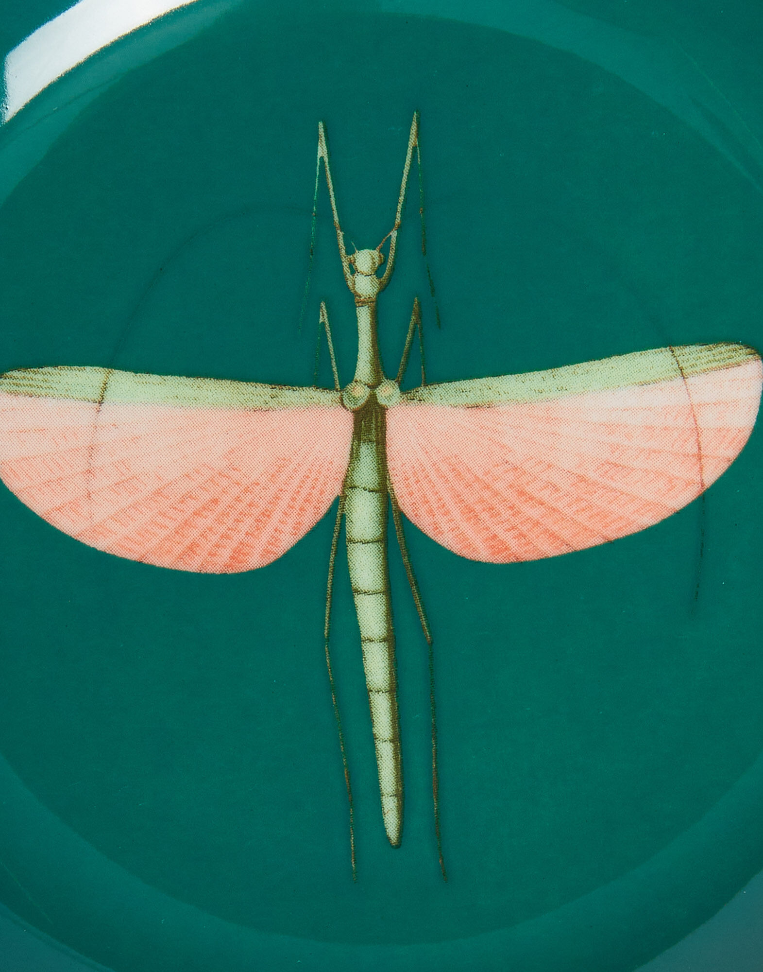 La DoubleJ Mini Plate Libellula Green SID0006CER001LIB03GR02