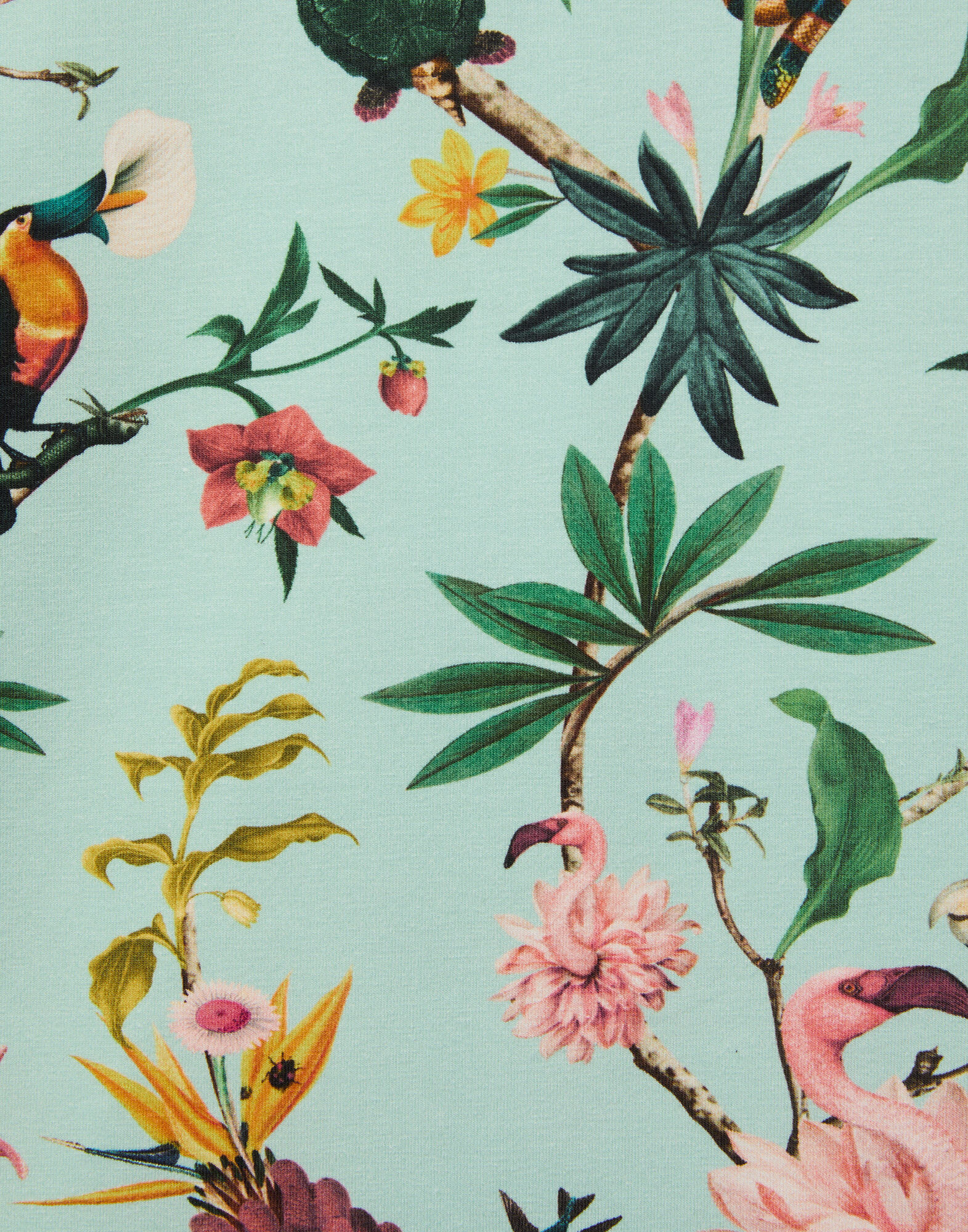 La DoubleJ The Cu-Tee Crop Zooflora Light Blue TSH0068JER076ZOF02BU01