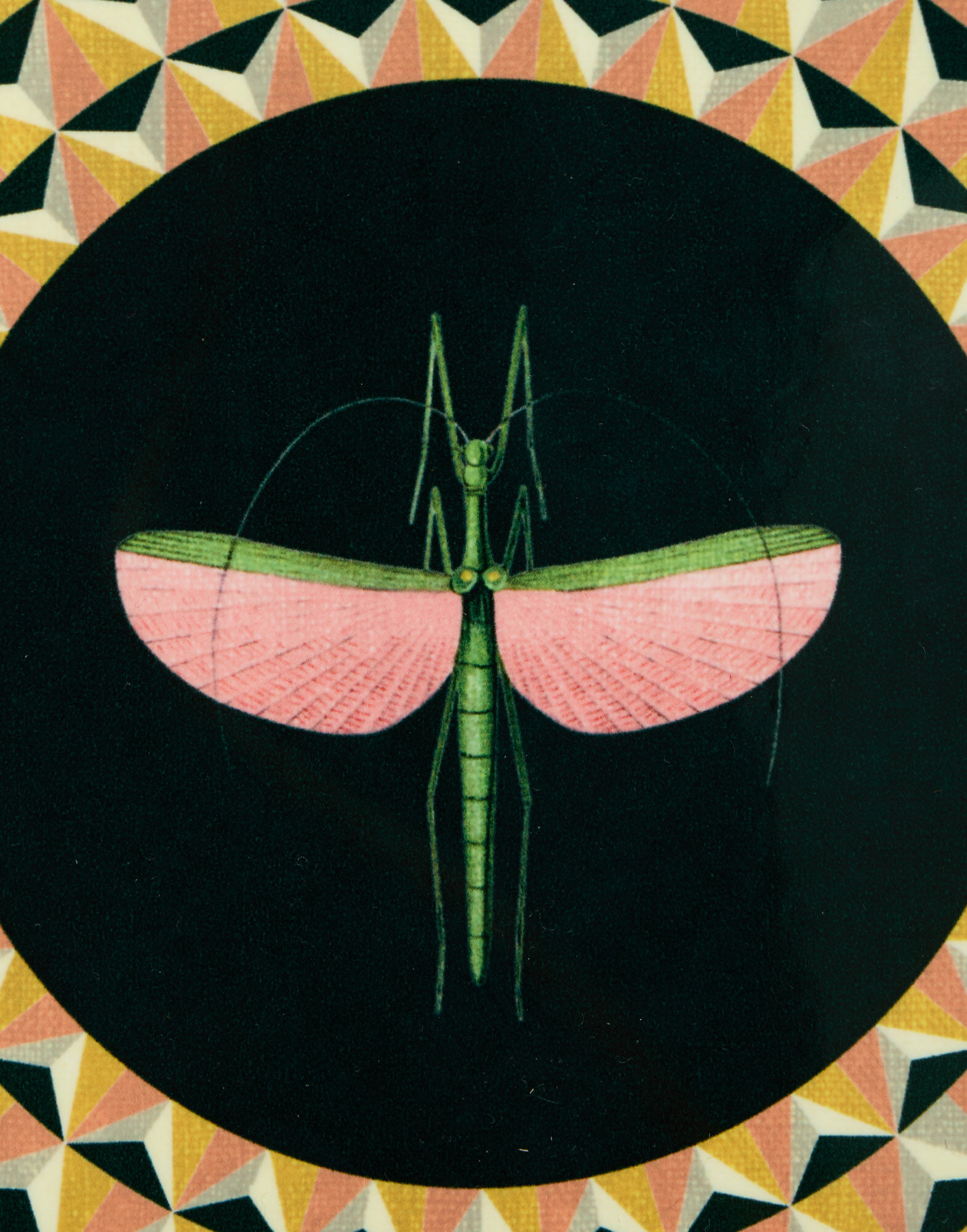 La DoubleJ Disk Placemats Set Of 2 Libellula Dark Mustard PMT0032CRK001LIB03YE03