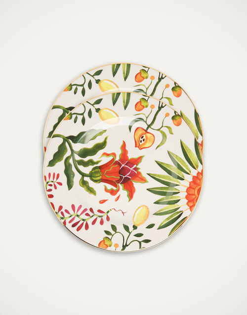 Dinner Plates Set Of 2