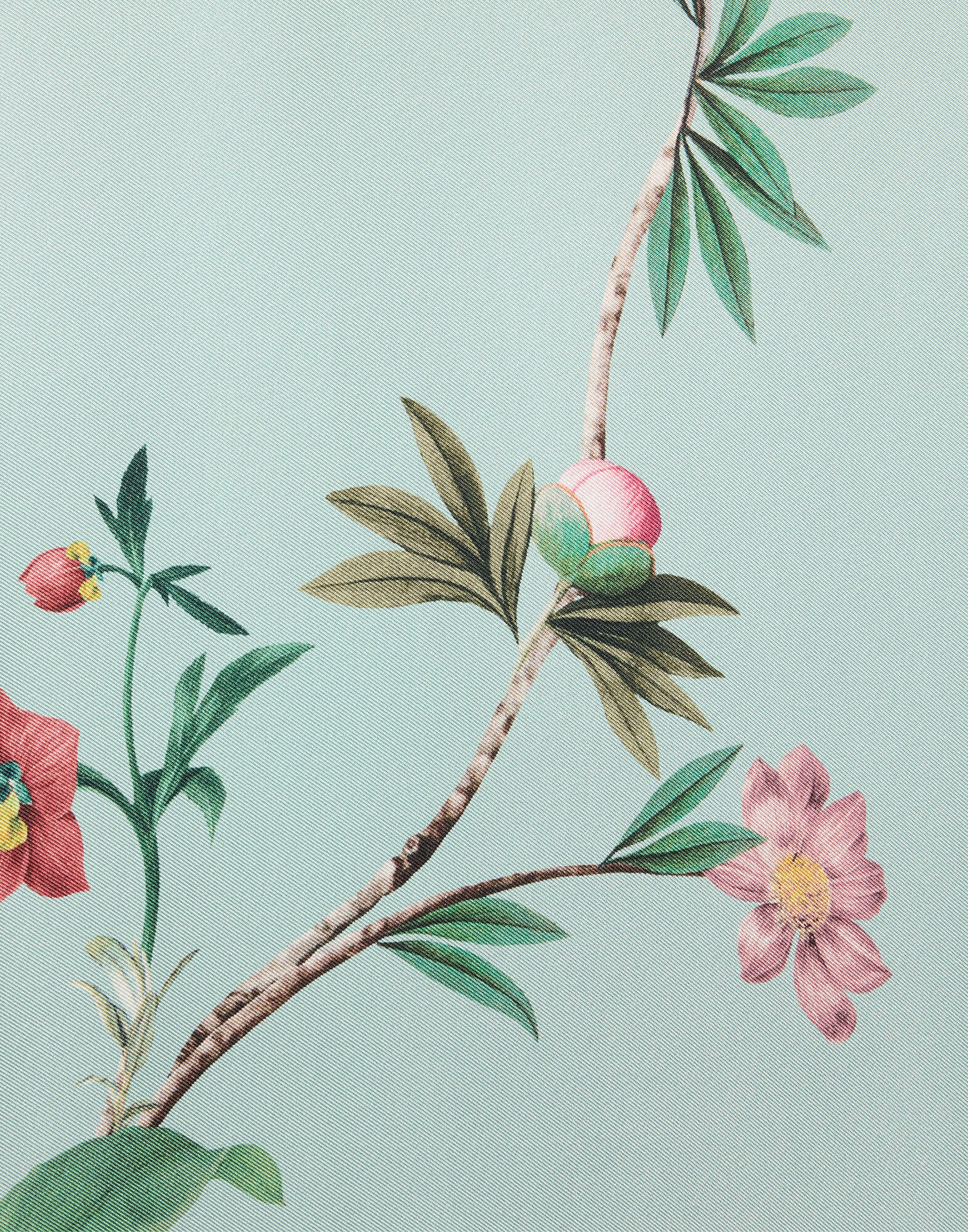 La DoubleJ Pajama Shirt Zooflora Plac&eacute;e Light Blue SHI0077SIL001ZOF04BU01