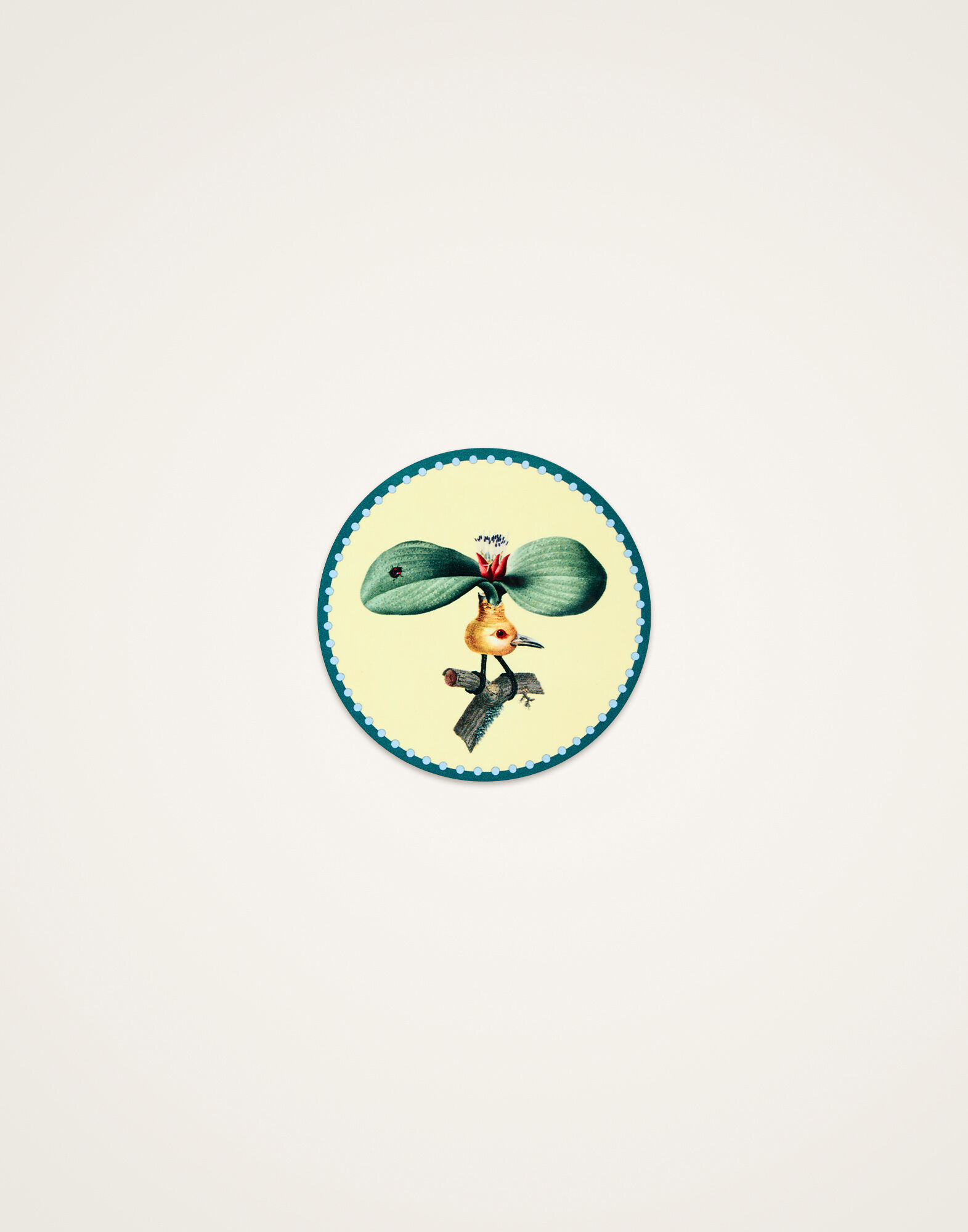 La DoubleJ Disk Coasters Set Of 4 Flying Friends CST0009CRK001FLF01MU03