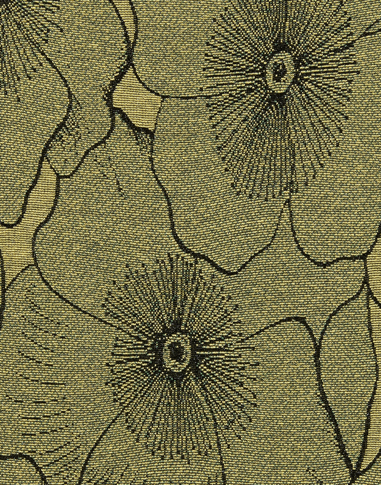 La DoubleJ Elle Swimsuit Primrose Yellow SWI0093JER064PRI02YE02