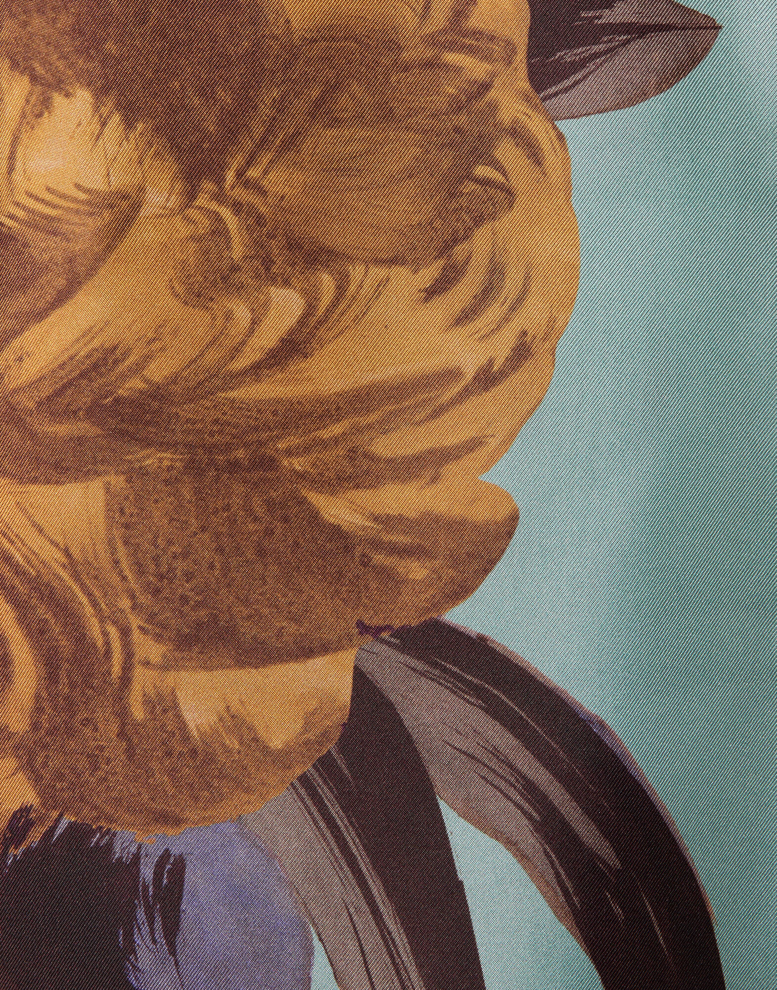 La DoubleJ Boy Shirt Peony Plac&eacute;e Light Blue SHI0040SIL001PEO06BU01