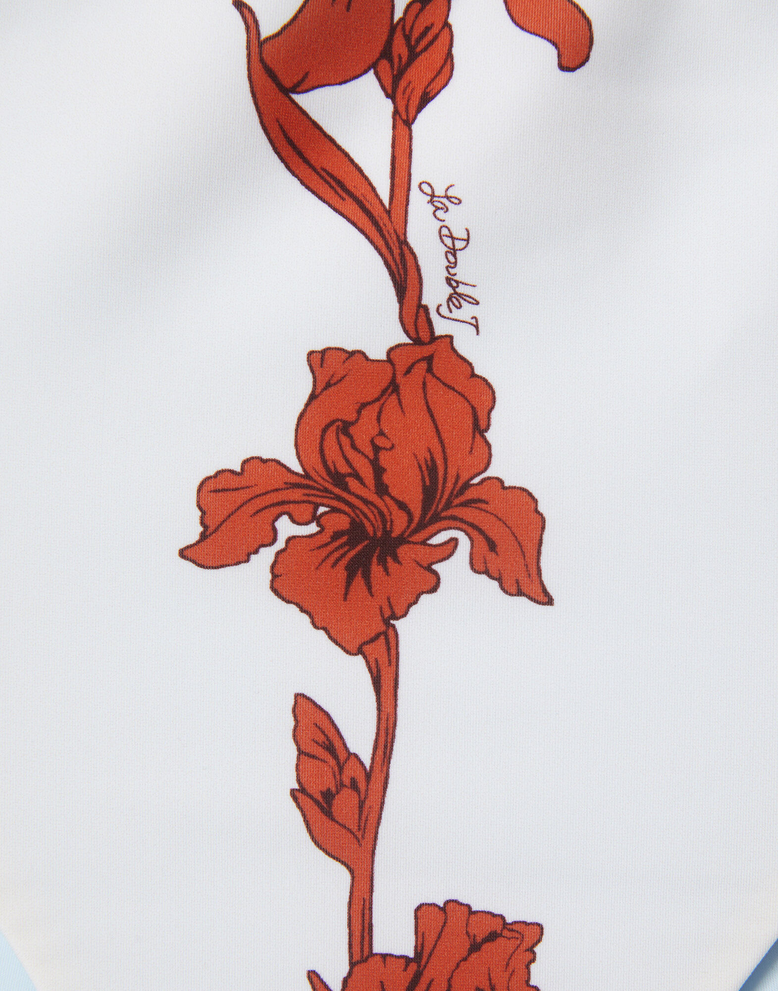 La DoubleJ Boy Brief Mini Iris Dark Orange SWI0030LYC001IRS03OR03