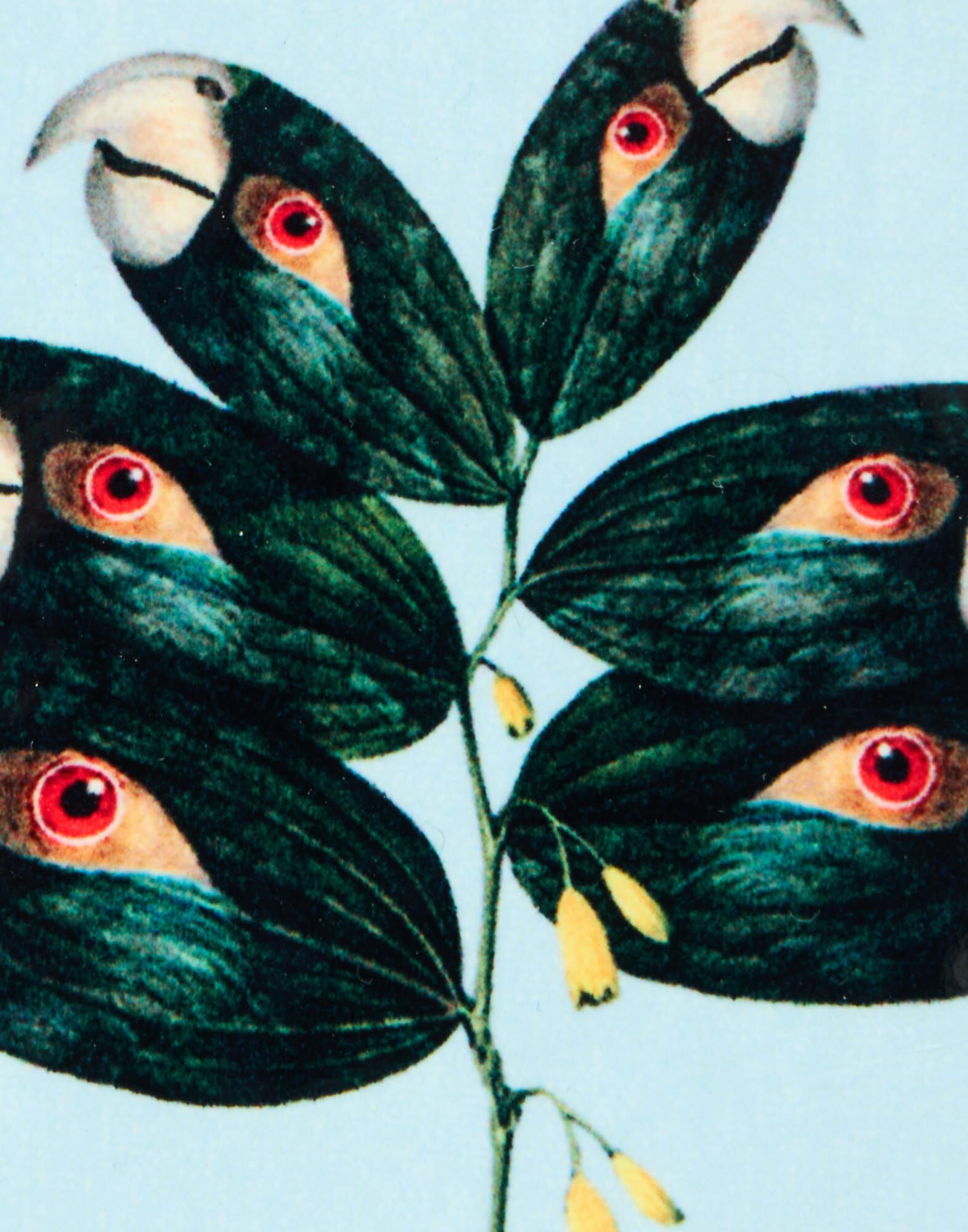 La DoubleJ Disk Coasters Set Of 4 Blooming Buddies CST0009CRK001BLB01MU03