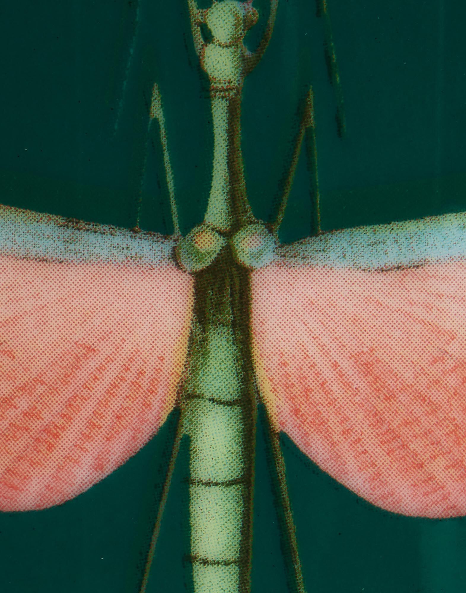 La DoubleJ Decorative Cup Libellula Green VAS0008CER001LIB03GR02