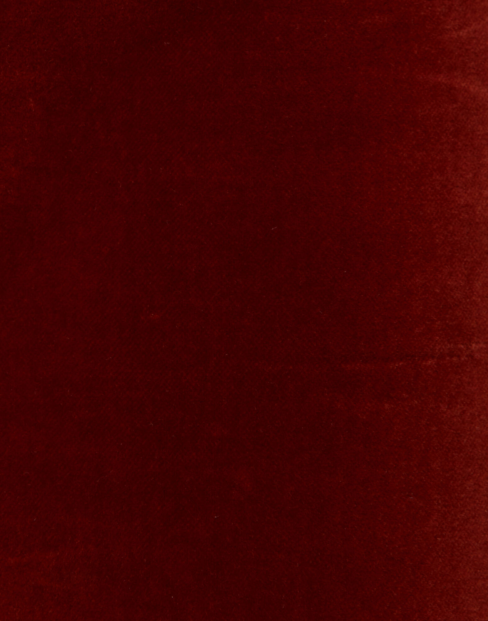 La DoubleJ 24/7 Pants Terracotta TRO0069VEL011SOLIDBR08